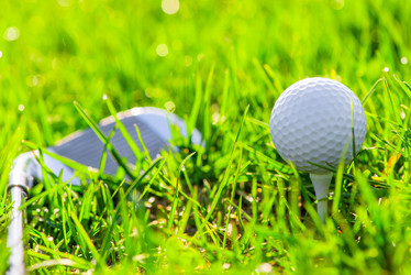 Similar image 6316473