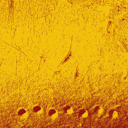 Similar image 6316488