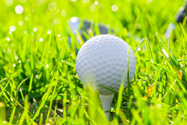 Similar image 6316504