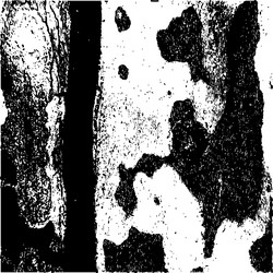 Similar image 6316539