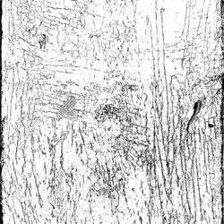 Similar image 6316625