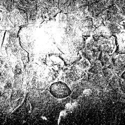 Similar image 6316683