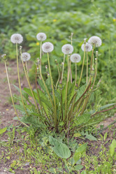 Similar image 6316714