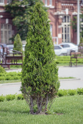 Similar image 6316716