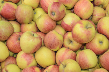 Similar image 6316725