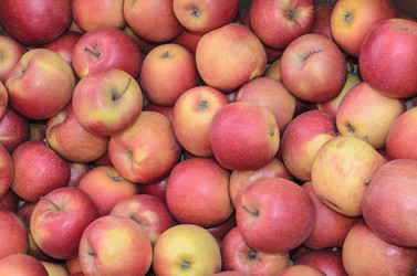 Similar image 6316726