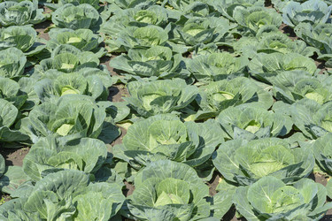 Similar image 6316743