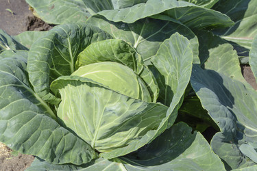 Similar image 6316744