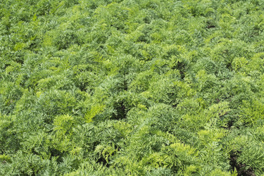 Similar image 6316746