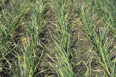 Similar image 6316748