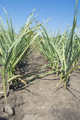 Similar image 6316749