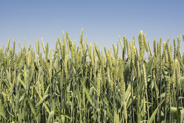 Similar image 6316760