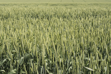 Similar image 6316761