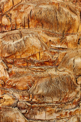 Similar image 6316783