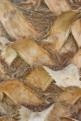 Similar image 6316784