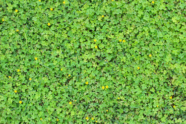 Similar image 6316785