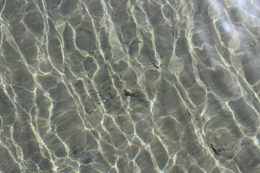 Similar image 6316789