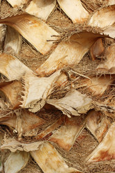 Similar image 6316791