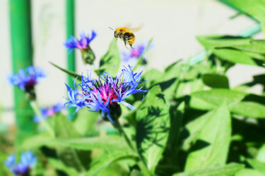 Similar image 6316984