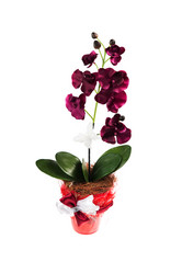 Similar image 6316994