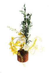 Similar image 6316997