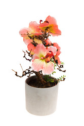 Similar image 6316998