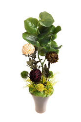 Similar image 6317001