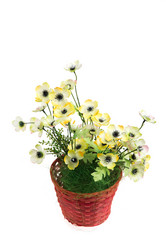 Similar image 6317002