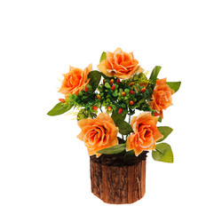 Similar image 6317008