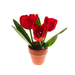 Similar image 6317015