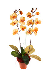 Similar image 6317016