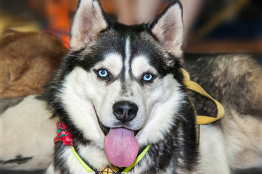 Similar image 6318120