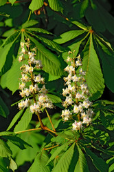 Similar image 6318132