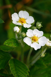 Similar image 6318140