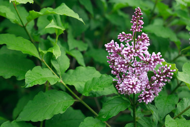 Similar image 6318142