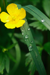 Similar image 6318143