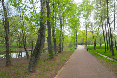 Similar image 6318216