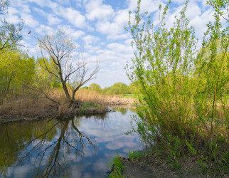 Similar image 6318222