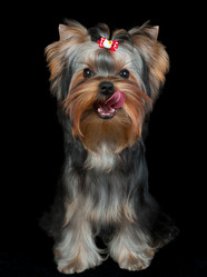 Similar image 6318223