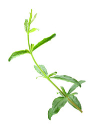 Similar image 6318275