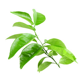 Similar image 6318276