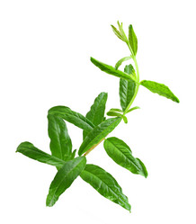 Similar image 6318282