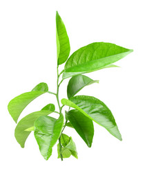 Similar image 6318284