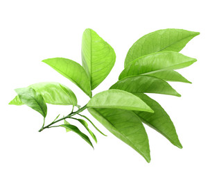 Similar image 6318285