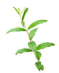 Similar image 6318286