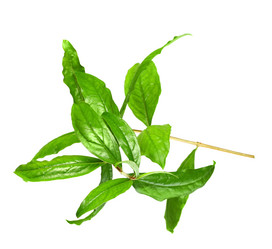 Similar image 6318288