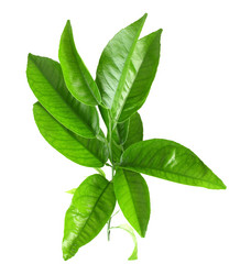 Similar image 6318294