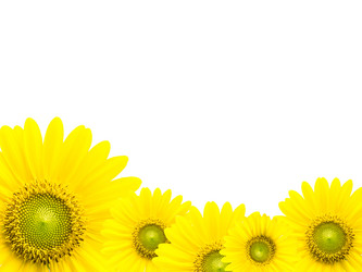 Similar image 6318326