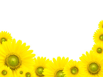 Similar image 6318327