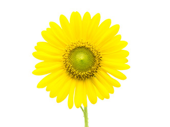 Similar image 6318329